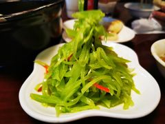 莴笋丝-金锅小厨(乐活街店)