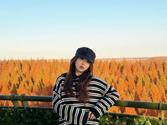 -黄海国家森林公园