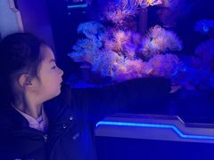 -大连圣亚海洋世界