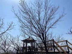 -吉林市朱雀山国家森林公园