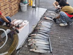 -老四川平头酸菜鱼(衙前店)
