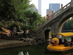 -团结湖公园