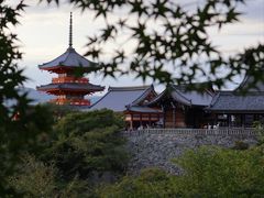 -有栖山 清光院 清水寺