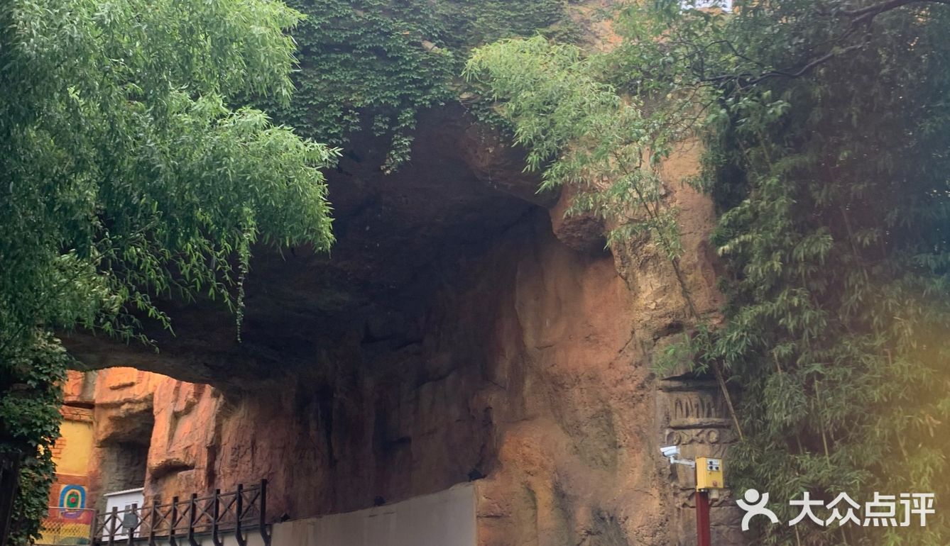 周末神奇的台风🌀玛雅之旅