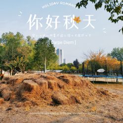 -上美四季动物农场