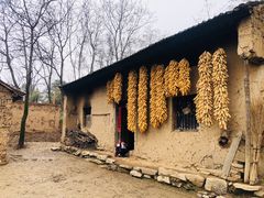 -秦岭风景区