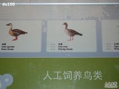 -北京麋鹿生态实验中心