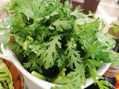 有机茼蒿-鸿姐老火锅(疁城新天地店)