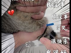 -悦宠凯宝动物医院·牙科·皮肤科(朝阳北路店)