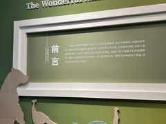 -国家自然博物馆