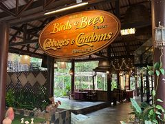 -卷心菜和避孕套餐厅(Pattaya)