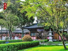 -枫桥景区