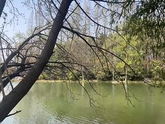 -桃花岛公园
