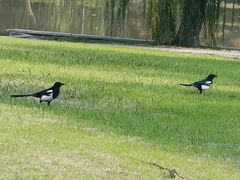 -万达广场(南京江宁店)