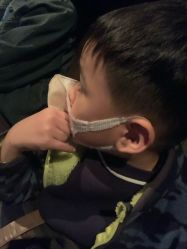 -翱翔飞越地平线
