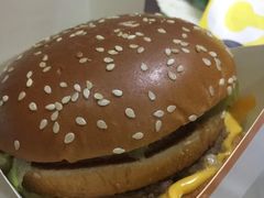 -麦当劳(明湖店)