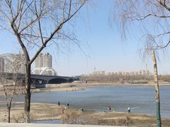 -长白岛森林公园