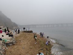 -星海湾跨海大桥