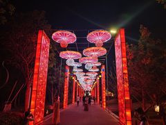 -武汉园博园(武汉自然博物馆)