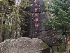 -汤旺河林海奇石景区