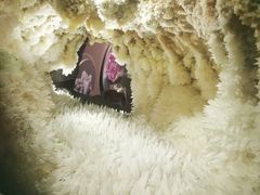 -湖南省地质博物馆