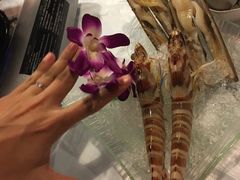 花竹虾-鲜入围煮花胶鸡海鲜火锅