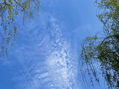 -宝岛公园