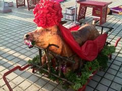 -草根堂农场