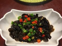 -森谷美食公园(杨行店)