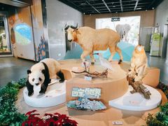 -陕西自然博物馆