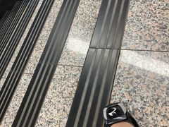 -哈尔滨热雪奇迹