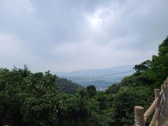 -南丹山森林王国