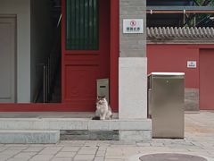-北京石刻艺术博物馆(五塔寺)