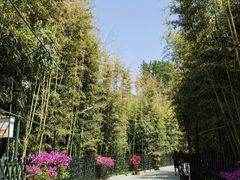 -红螺寺