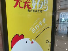-麦当劳(北京大兴机场二层国内到达(安检外)店)