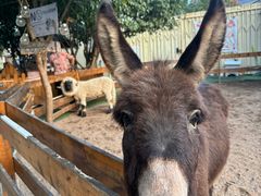 -HERRE·FARM 赫尔露营农场·团建聚会包场