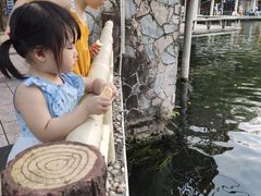 -晓港公园