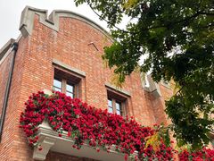 -天津五大道文化旅游区