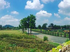 -田园东方蜜桃村的田野营地