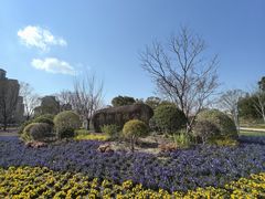 -新江湾城公园