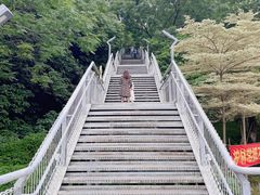 -佛山华盖山公园