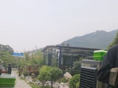 -蘇河湾·新鲁菜·泰山宴(泰山店)
