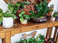 -茶油香闽南菜·花园餐厅(前埔店)