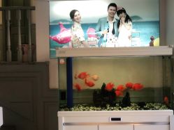 -非常六加一儿童摄影(同安店)