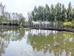 -东郊湿地公园
