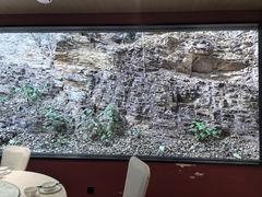 -雅苑中餐厅