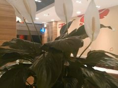 -嘉和一品粥(首经贸店)