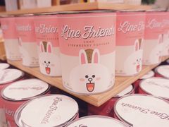 -line friends(明洞旗舰店)