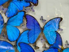 -凯德广场(西城店)