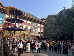 -西双版纳原始森林公园